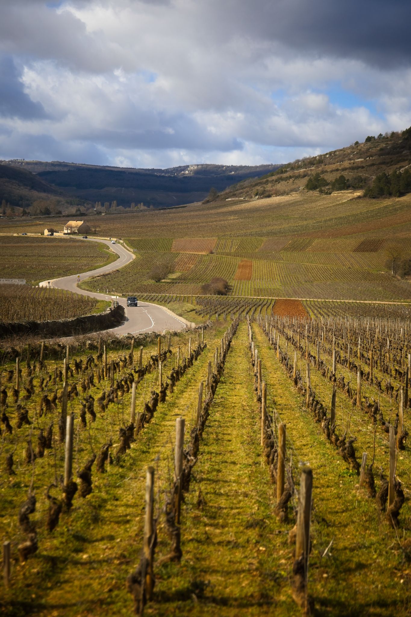 The Climats terroirs of Burgundy